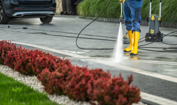 Best Solar Panel Cleaning  in Marienville, PA